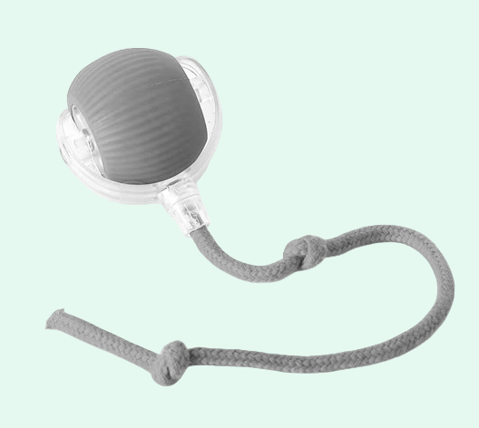 Turbo paw - Electric Self-Moving Ball