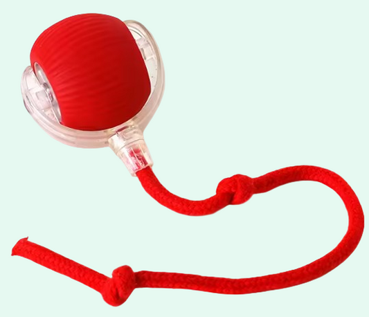 Turbo paw - Electric Self-Moving Ball