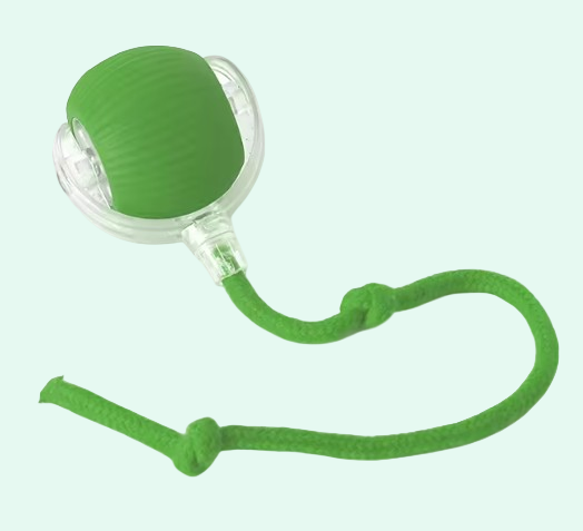 Turbo paw - Electric Self-Moving Ball